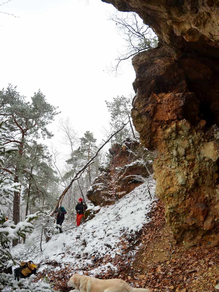 Foto De la Casa Talharilor (c) Lucian Petru Goja